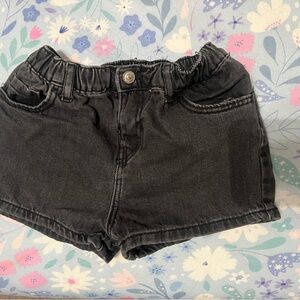 Zara Shorts